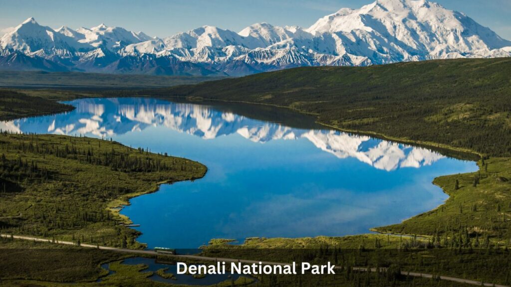 Denali National Park