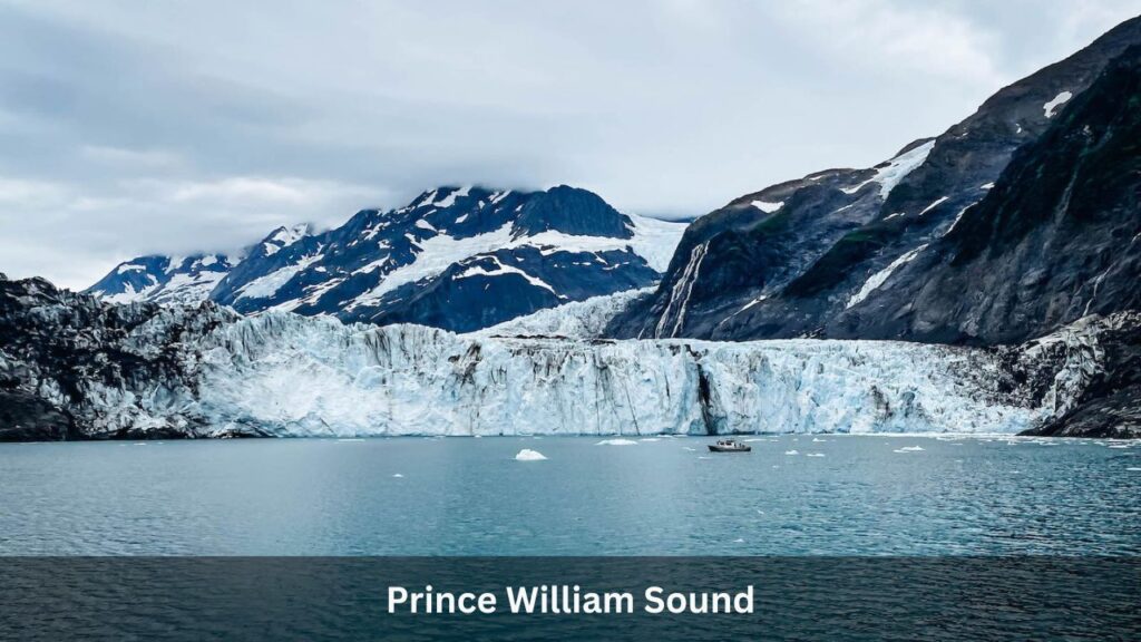 Prince William Sound