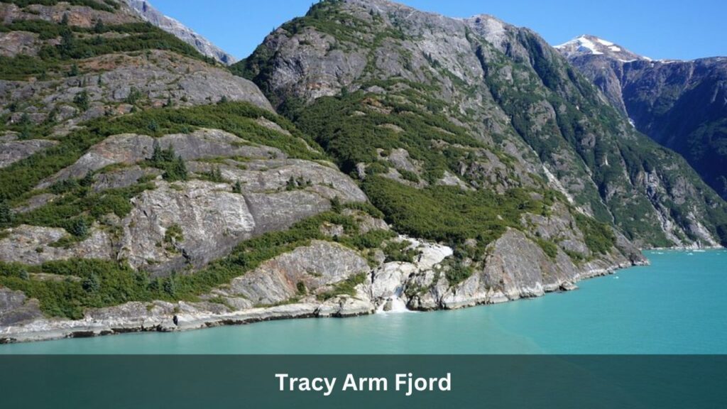 Tracy Arm Fjord