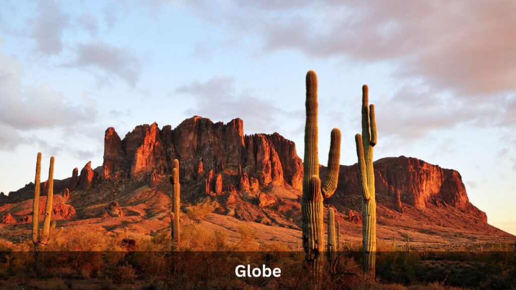 Globe