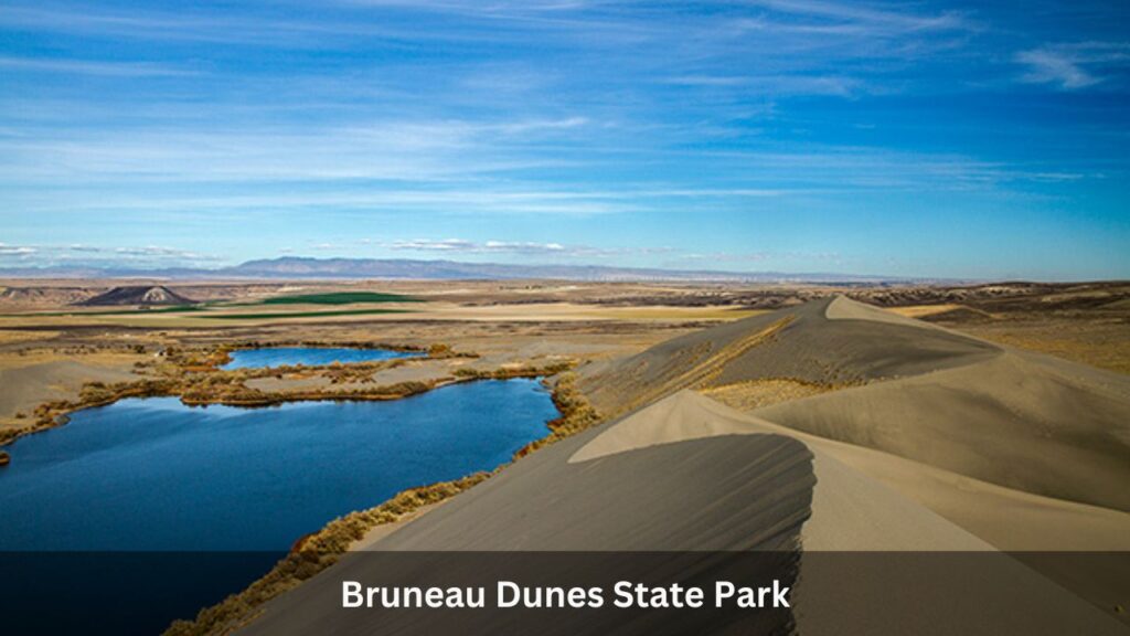Bruneau Dunes State Park