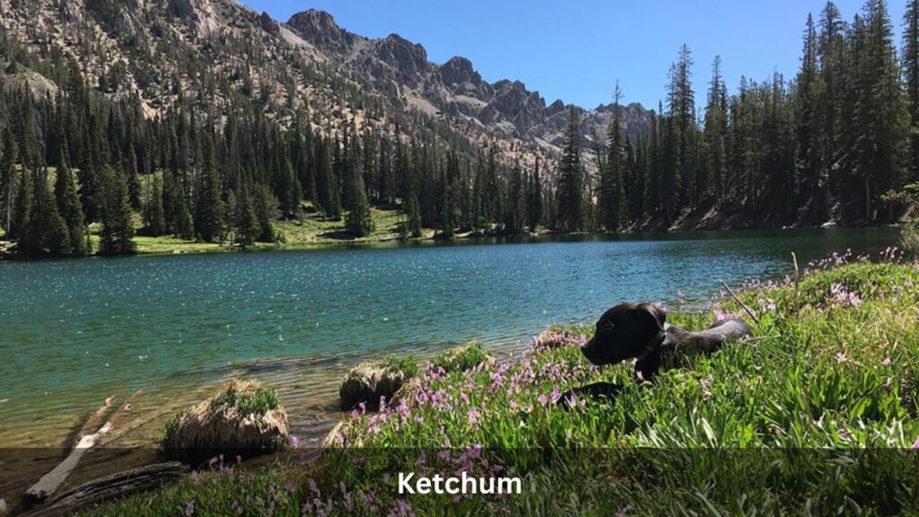 Ketchum