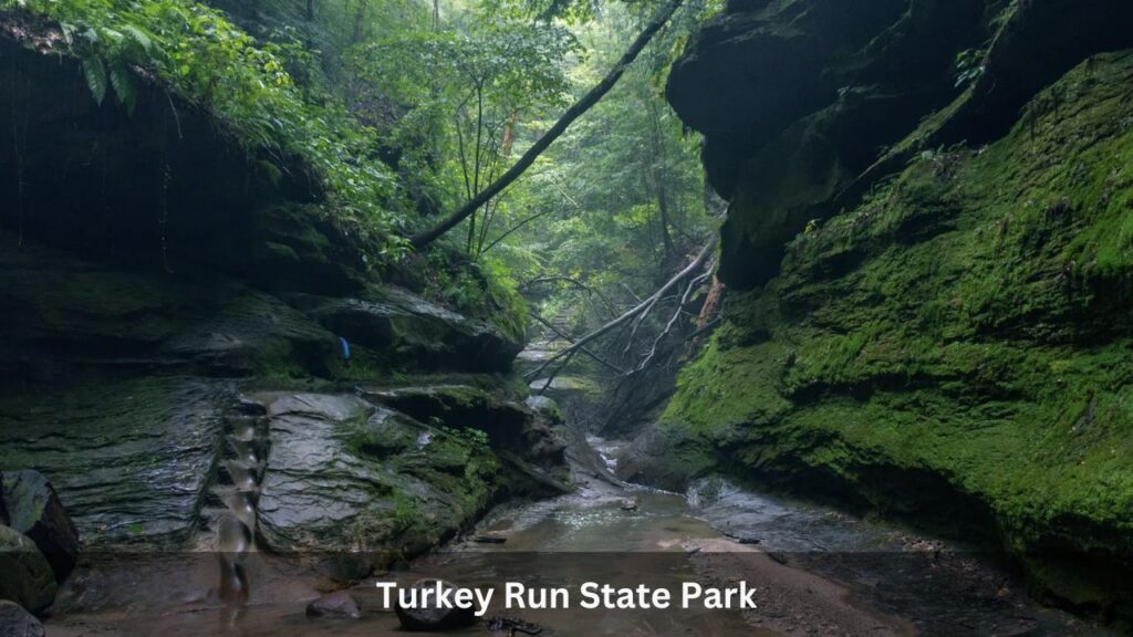 Turkey Run State Park